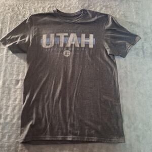 Utah Salt Lake City Short Sleeve T-Shirt Gray Cotton Size Large